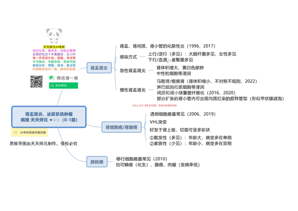 病理 肾盂肾炎、泌尿系统肿瘤 思维导图.pdf_第1页