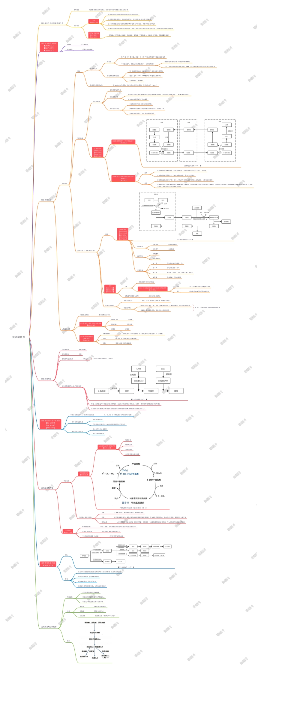 第二篇-第4章-氨基酸代谢.pdf_第1页