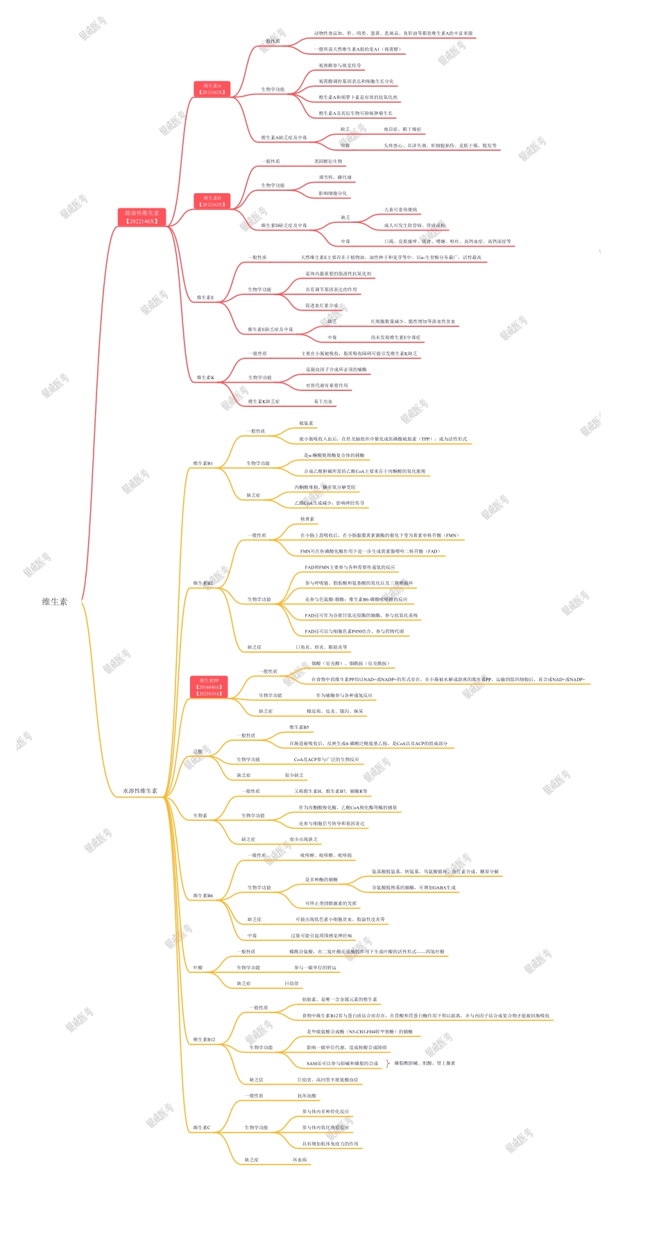 第二篇-第14章-维生素.pdf_第1页