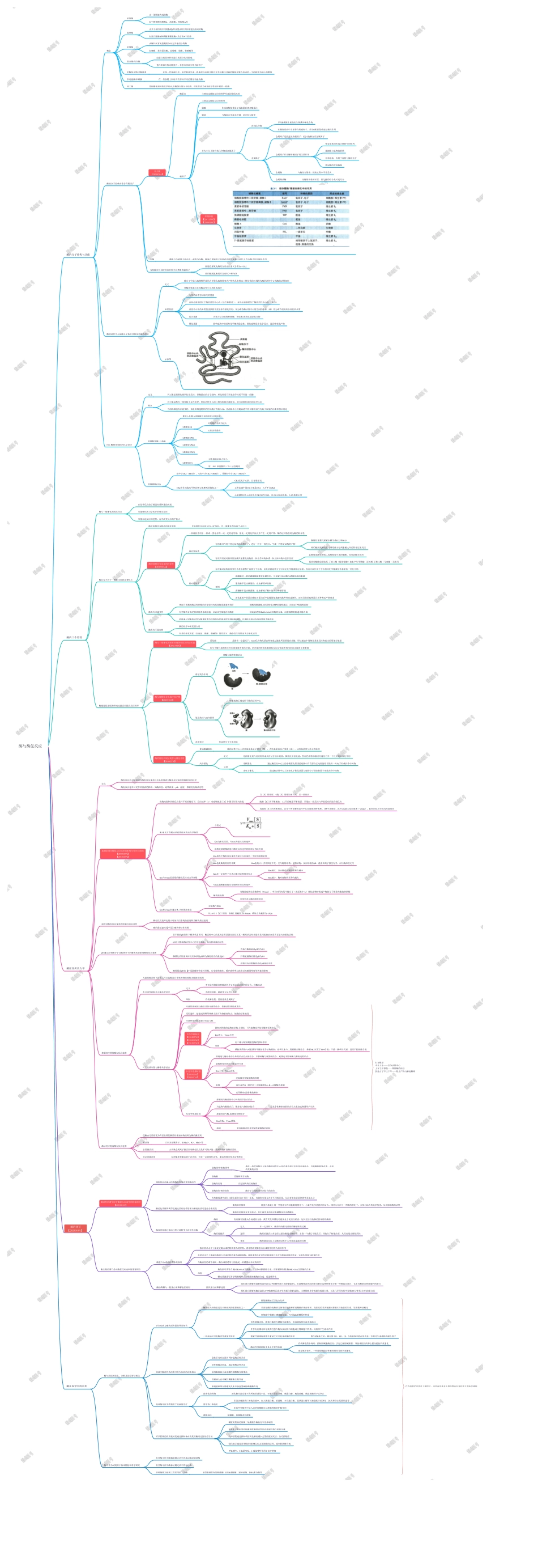 第一篇-第3章-酶与酶促反应.pdf_第1页