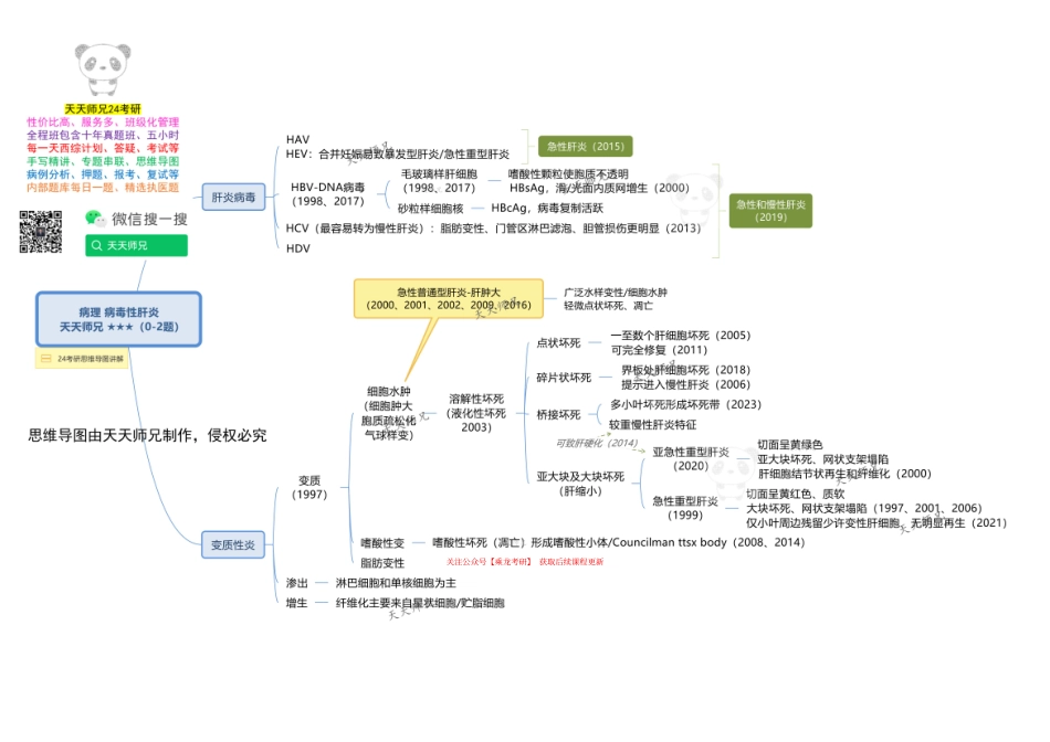 病理 病毒性肝炎 思维导图.pdf_第1页