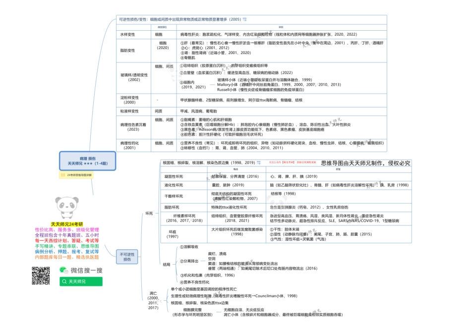 病理 损伤 思维导图.pdf_第1页