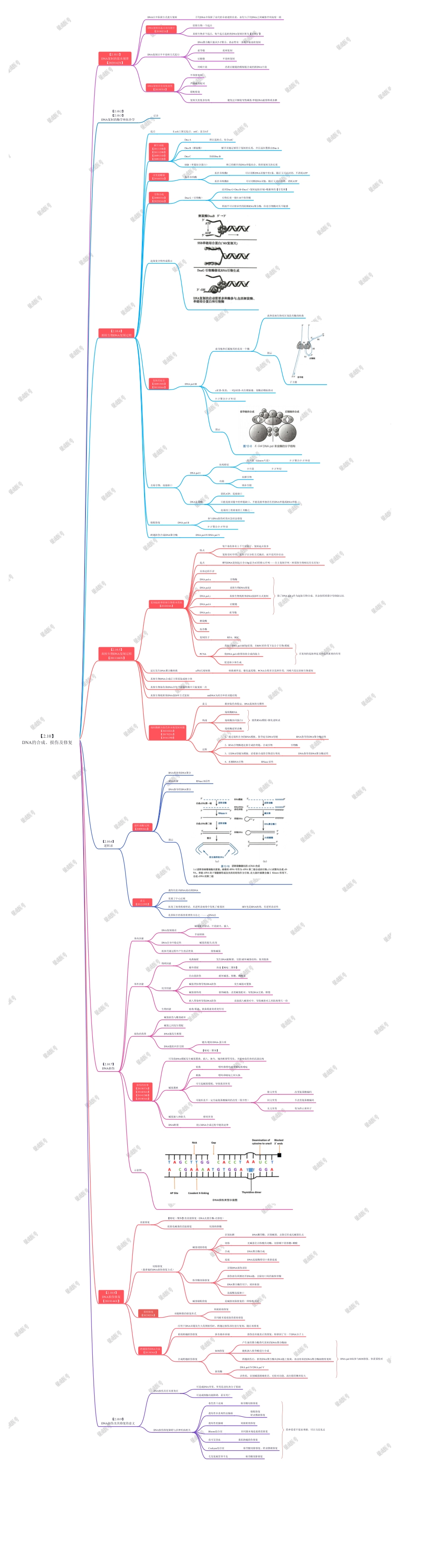 第3篇-第1章-DNA的合成.pdf_第1页