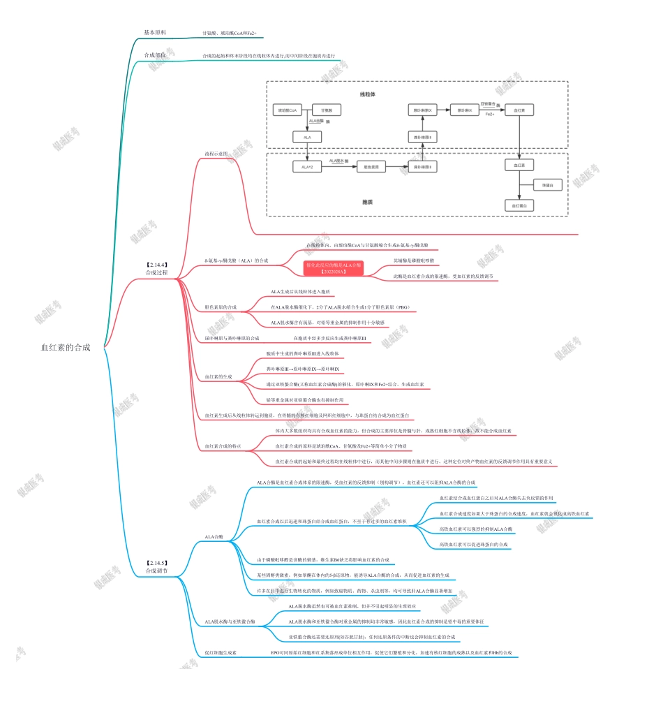 第二篇-第9章-血红素的合成.pdf_第1页