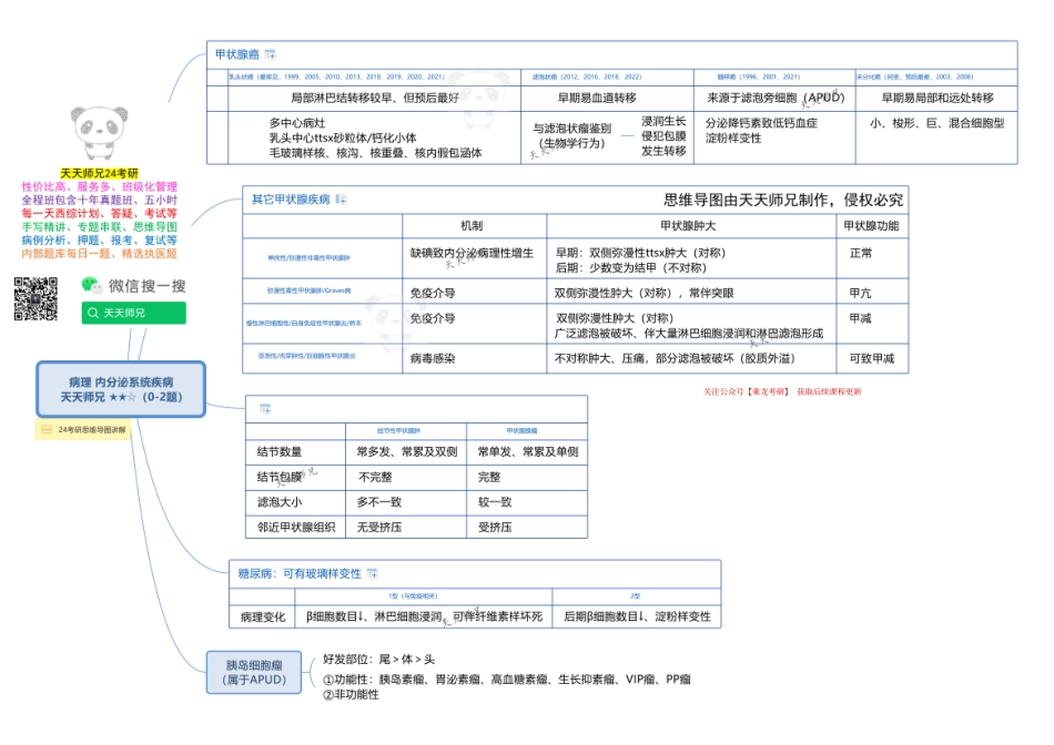病理 内分泌系统疾病 思维导图.pdf_第1页