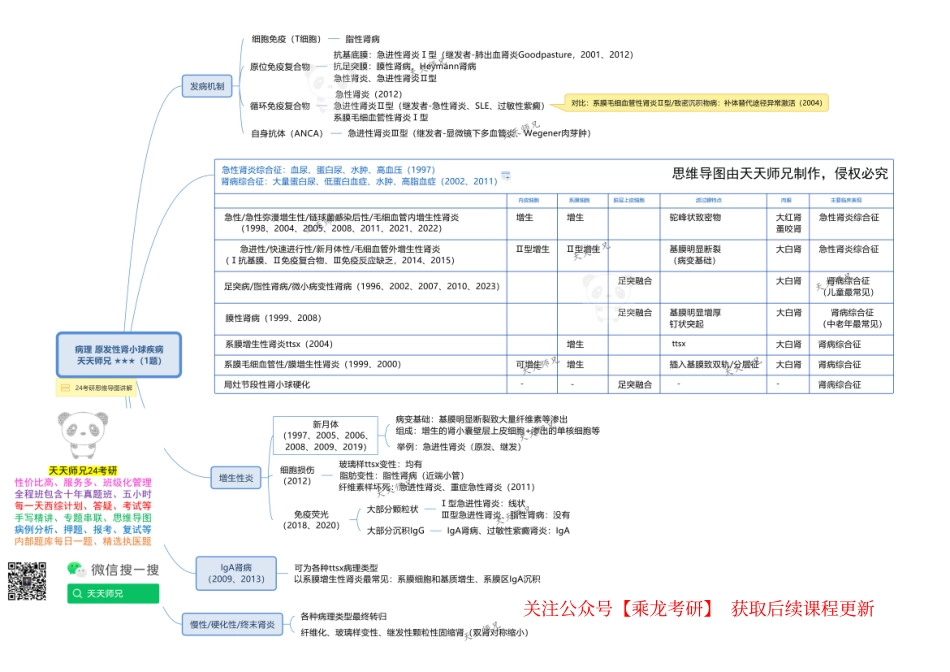 病理 原发性肾小球疾病 思维导图.pdf_第1页