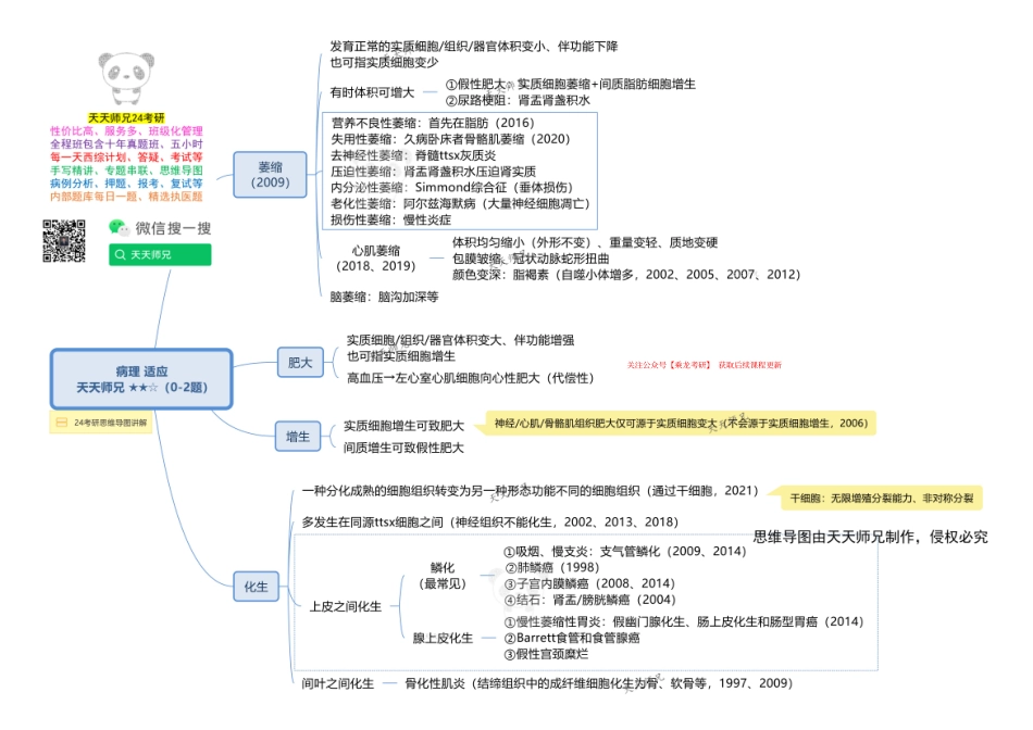 病理 适应 思维导图(1).pdf_第1页