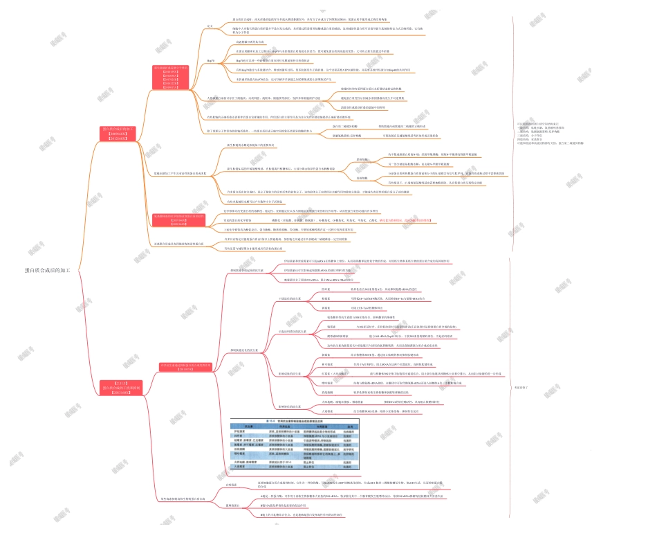 第3篇-第4章（下）-蛋白质合成后的加工.pdf_第1页