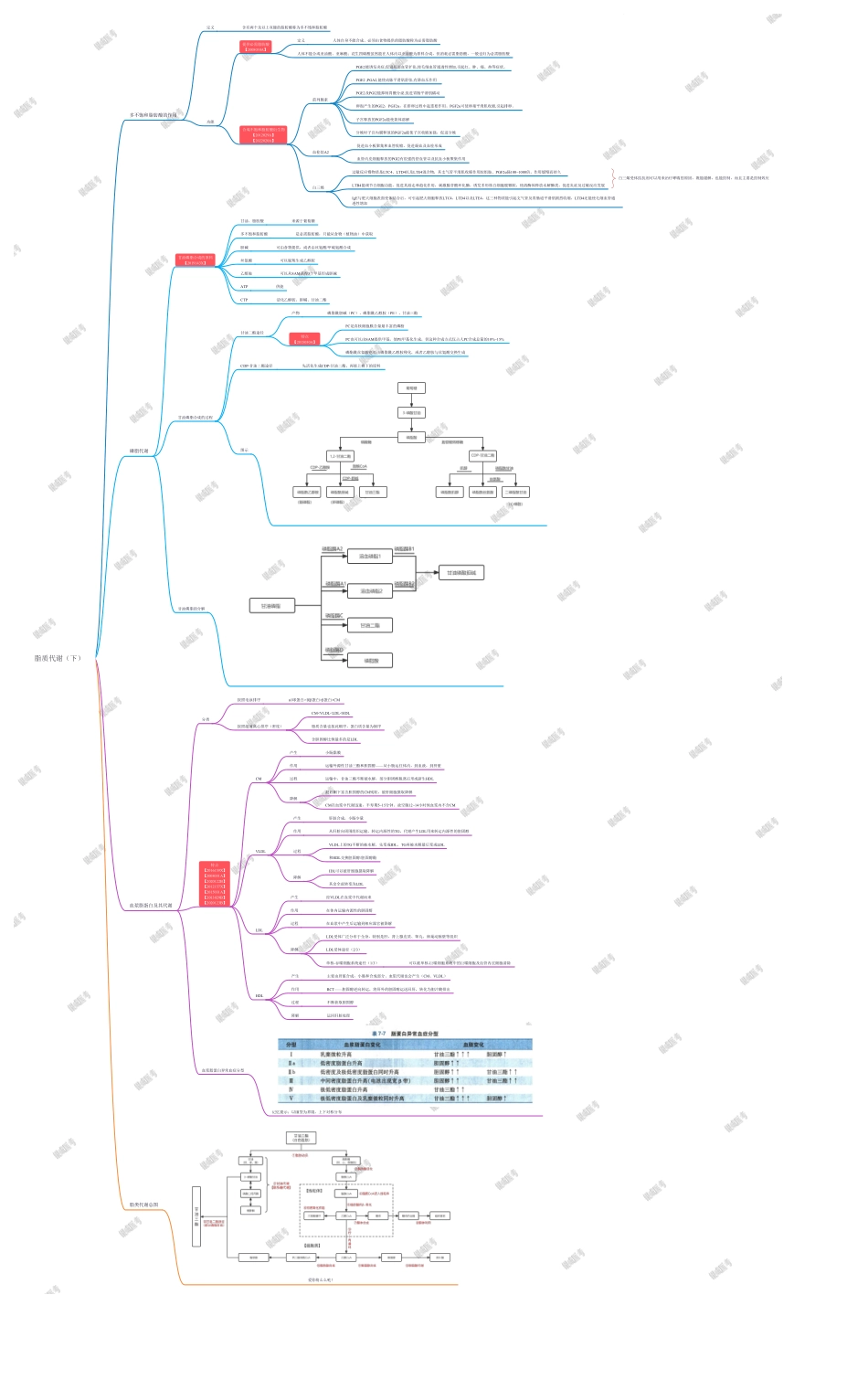 第二篇-第3章-脂质代谢（下）.pdf_第1页