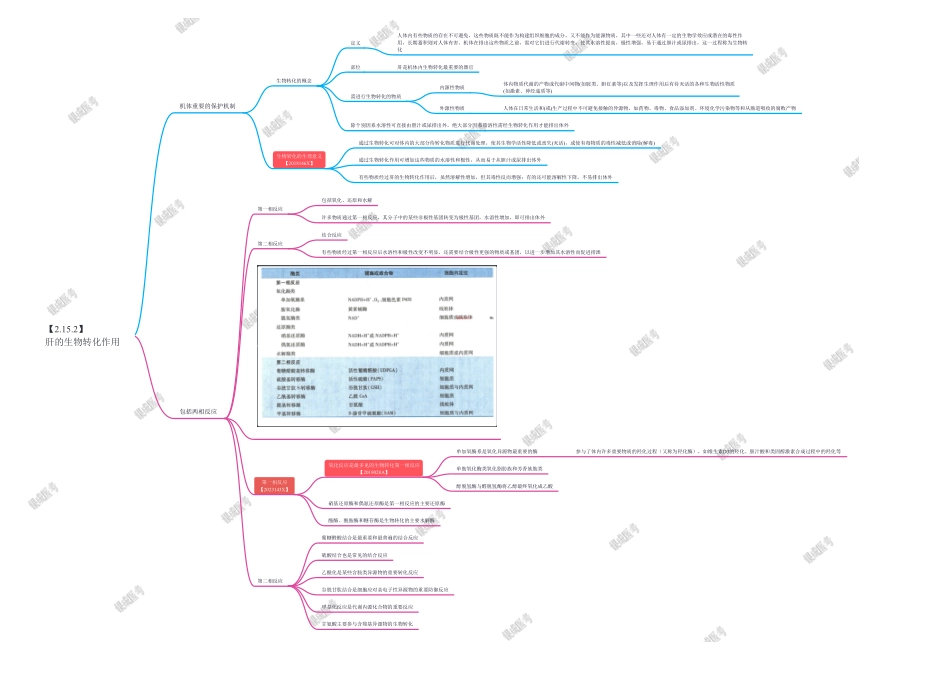 第二篇-第13章-肝的生物转化作用.pdf_第1页