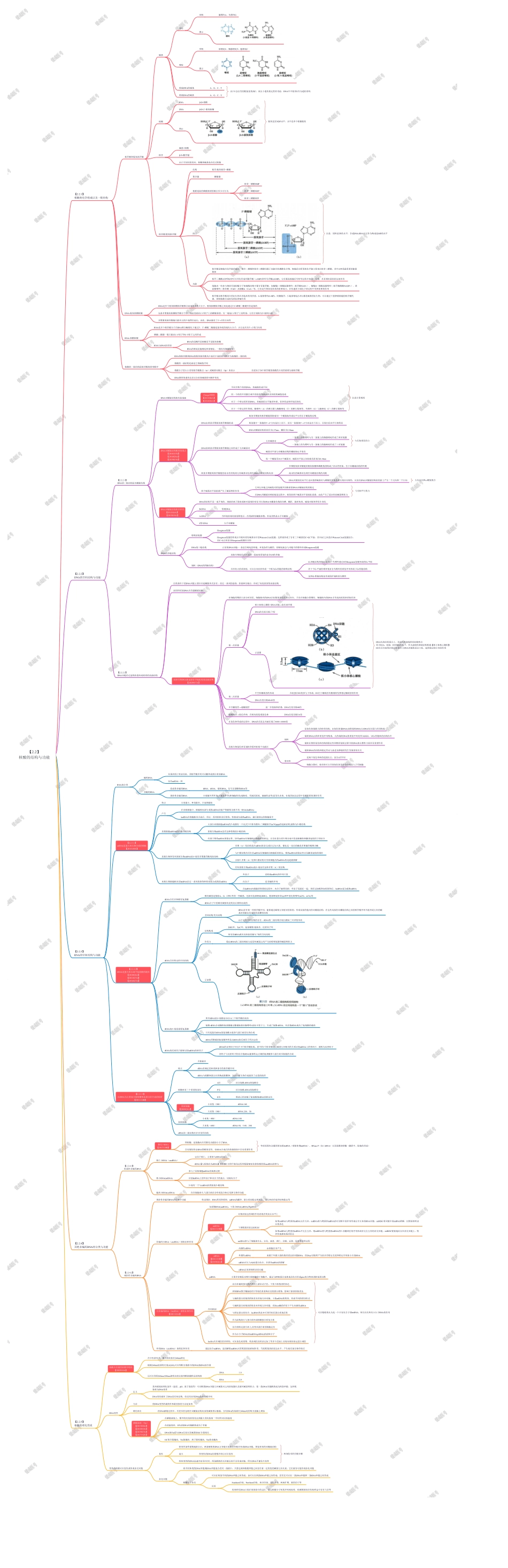 第一篇-第2章-核酸的结构与功能.pdf_第1页