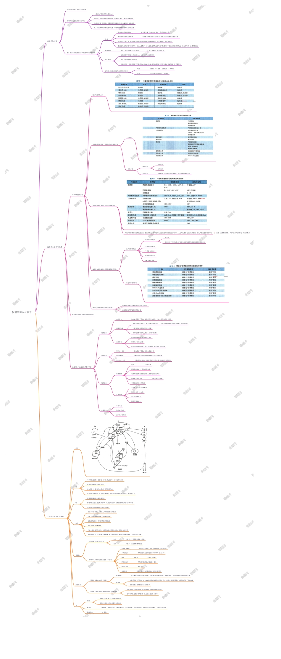 第二篇-第6章-代谢的整合与 调节.pdf_第1页