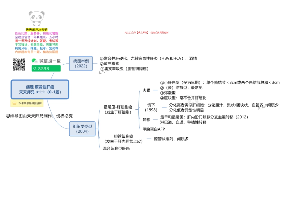 病理 原发性肝癌 思维导图.pdf_第1页