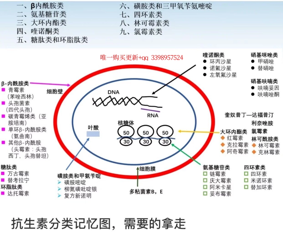 抗生素的作用机制(1).pdf_第1页