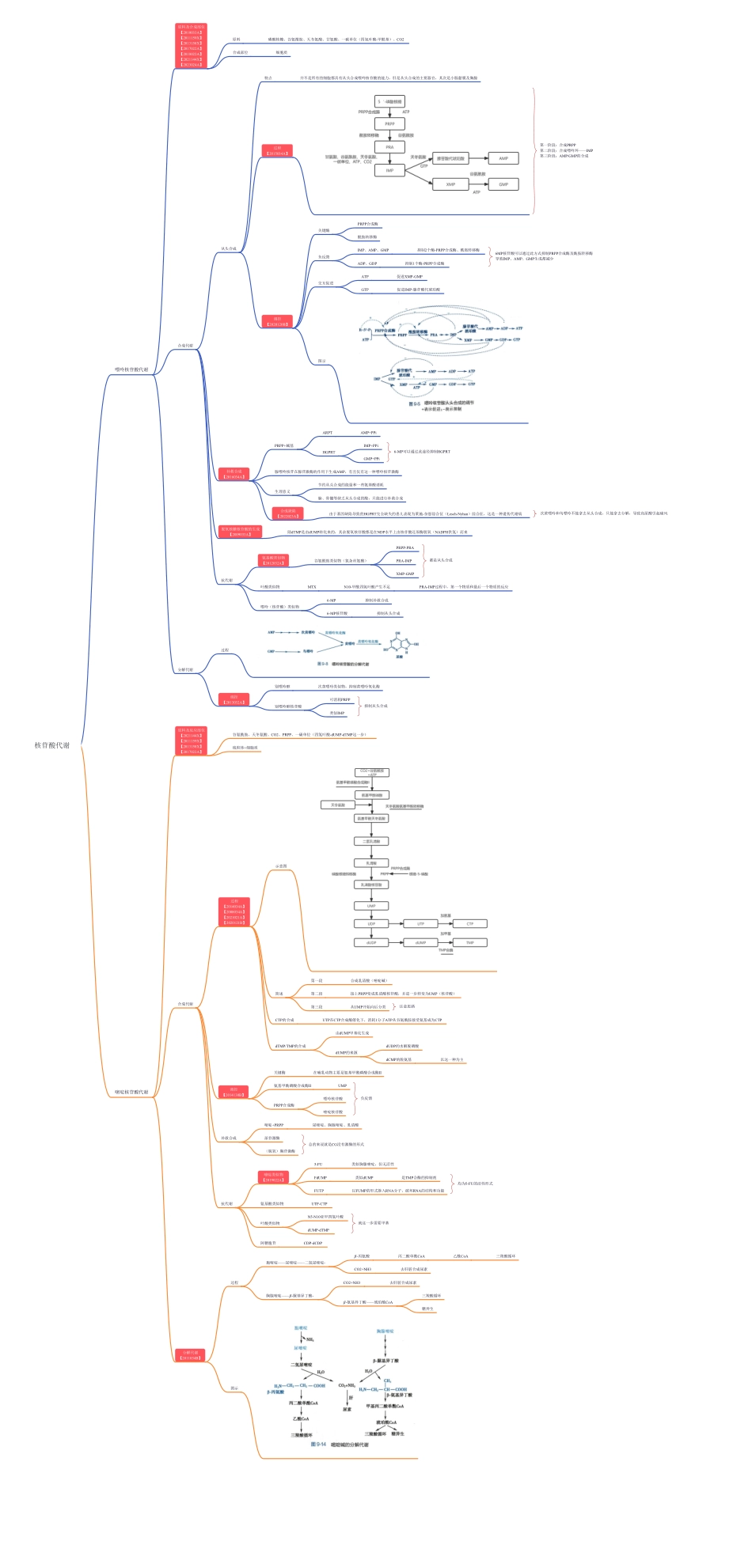第二篇-第5章-核苷酸代谢.pdf_第1页