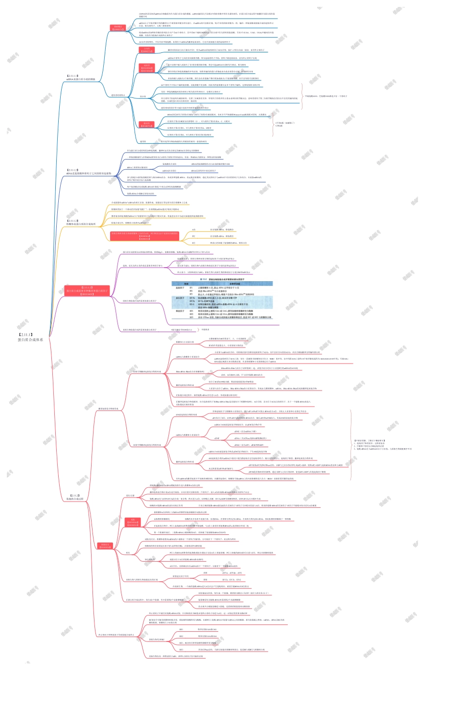 第3篇-第4章（上）-蛋白质合成体系.pdf_第1页