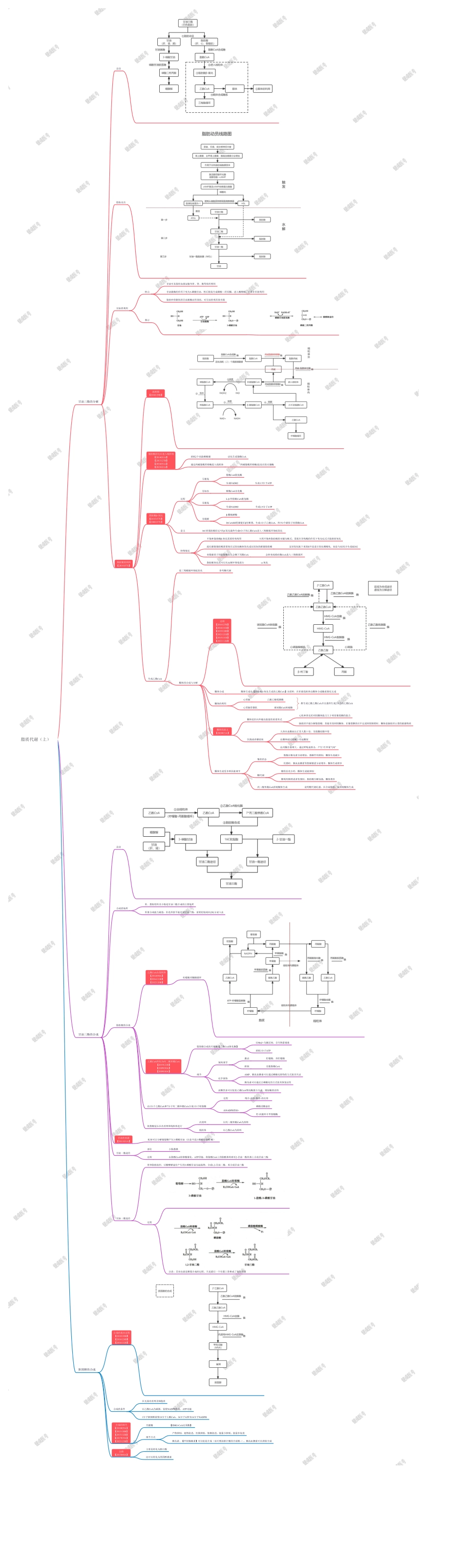 第二篇-第3章-脂质代谢（上）.pdf_第1页