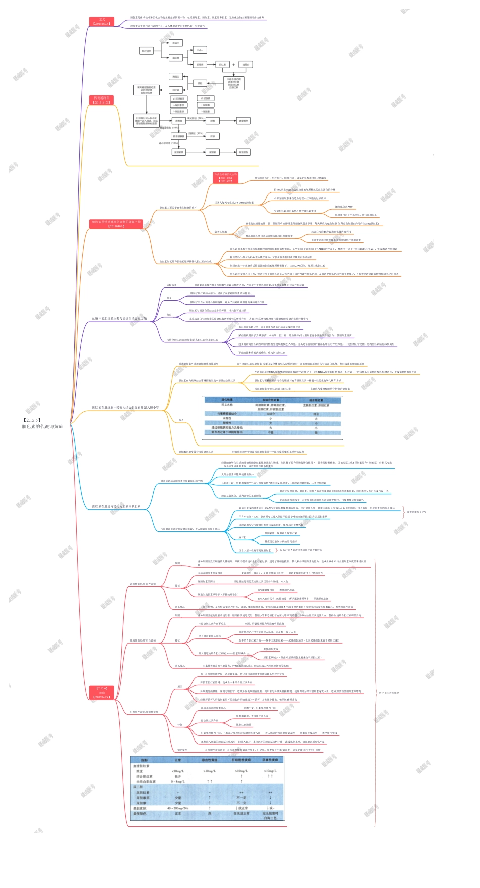 第二篇-第12章-胆色素的代谢与黄疸.pdf_第1页