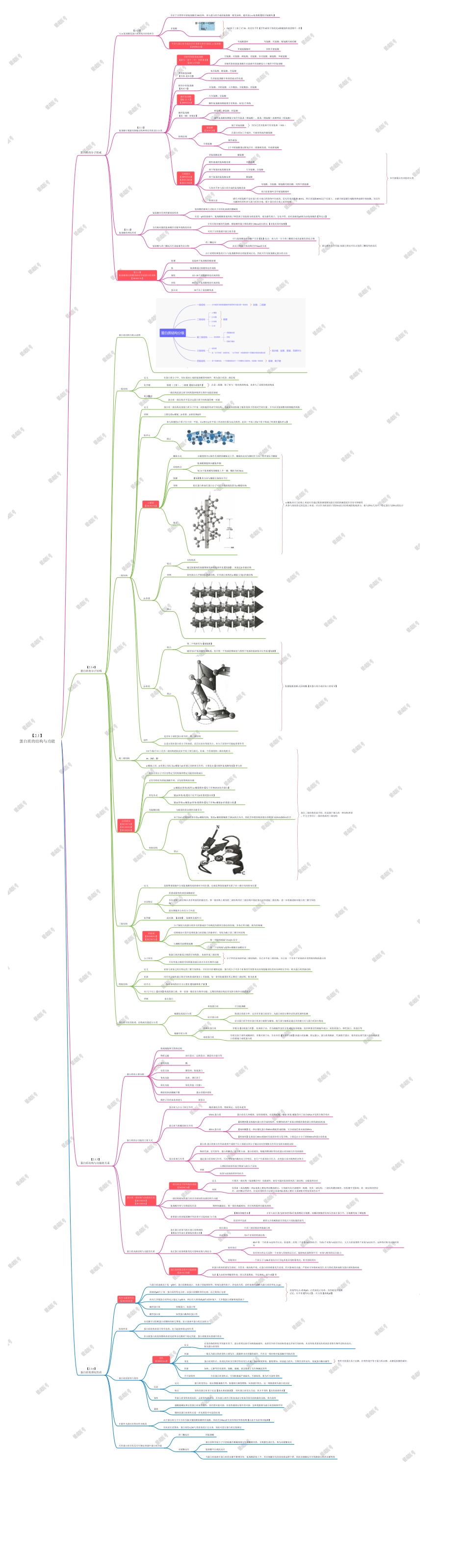第一篇-第1章-蛋白质的结构与功能.pdf_第1页