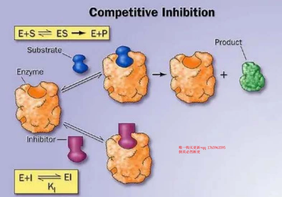 竞争性抑制.pdf_第1页