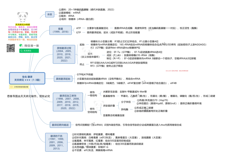 生化 翻译 思维导图(1).pdf_第1页