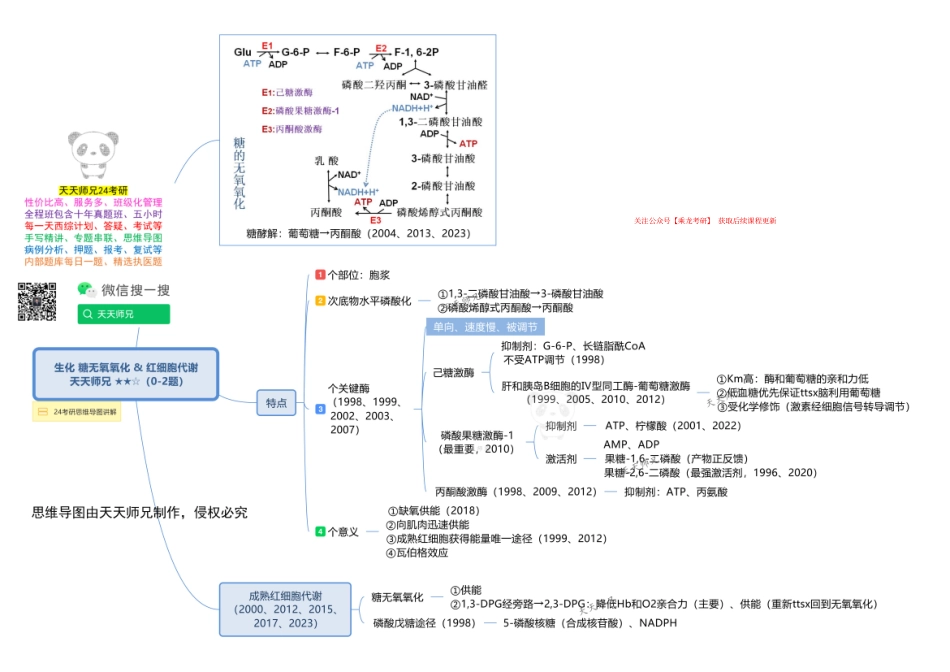 生化 糖无氧氧化&红细胞代谢 思维导图.pdf_第1页
