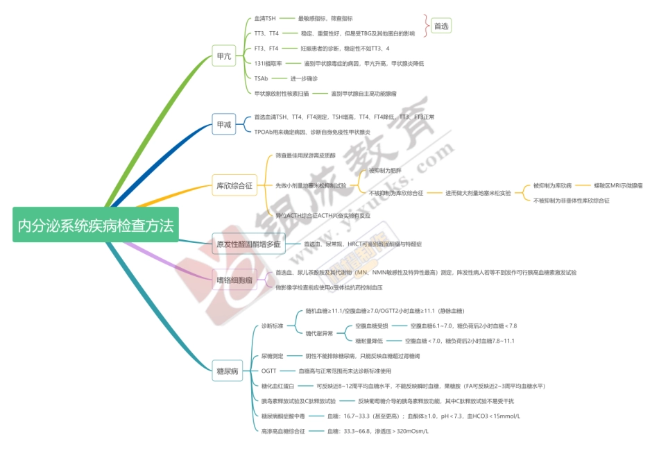 思维导图-内分泌系统疾病检查方法 .pdf_第1页