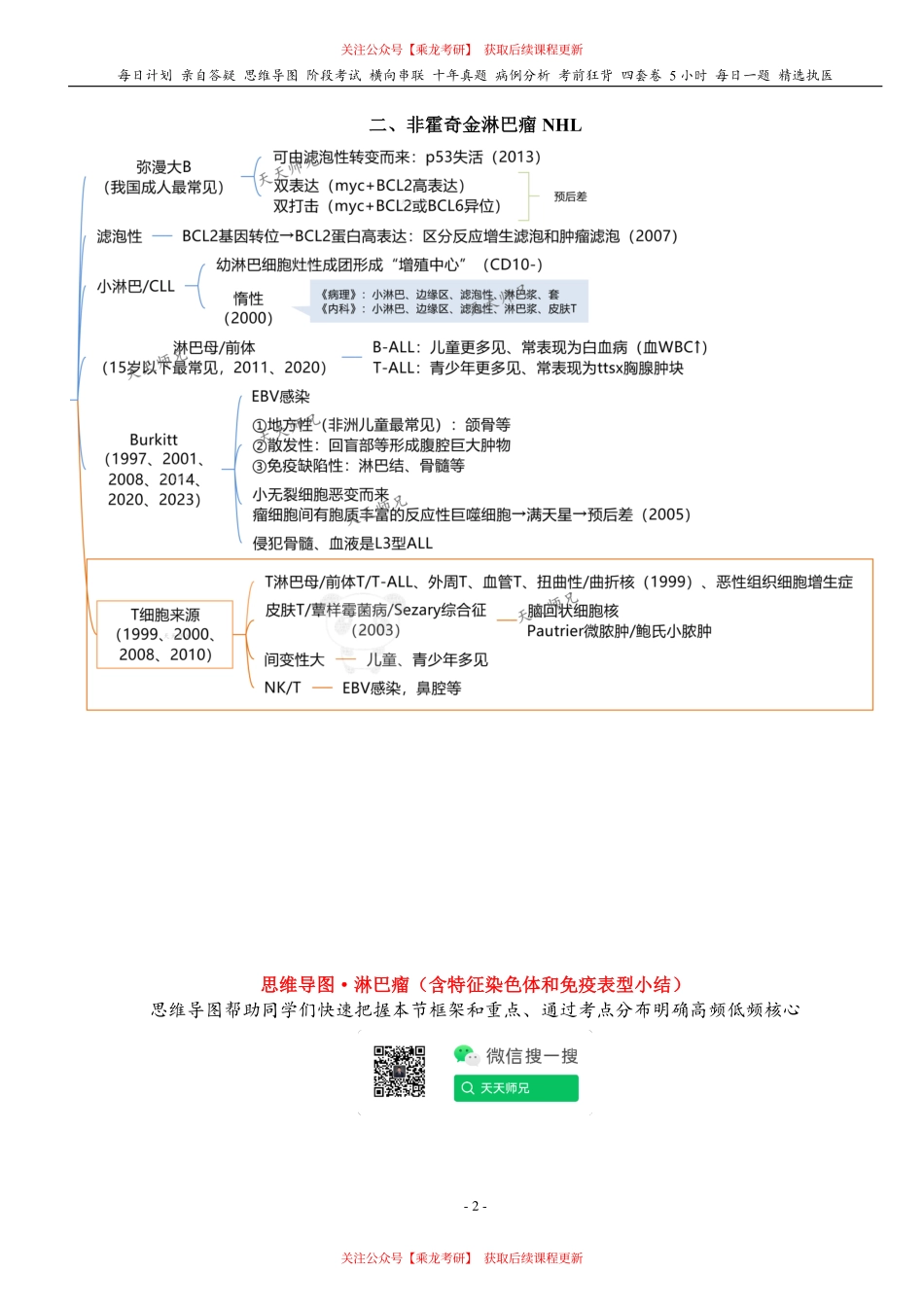填空式讲义：病理 淋巴造血系统疾病 核心-导图-真题-串联 天天师兄24考研 冲.pdf_第2页