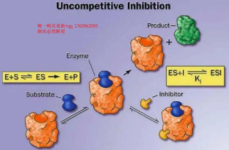 反竞争性抑制.pdf_第1页