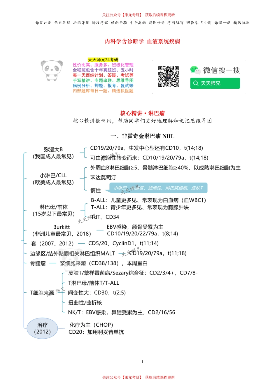 填空式讲义：内科含诊断 淋巴瘤 核心-导图-真题-串联 天天师兄24考研 冲.pdf_第1页