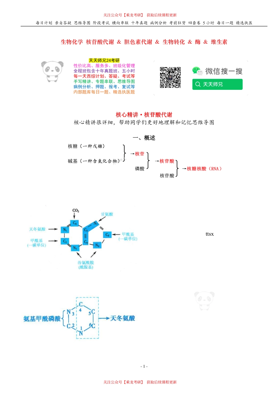 填空式讲义：生化 核苷酸代谢 核心-导图-真题-串联 天天师兄24考研 冲.pdf_第1页