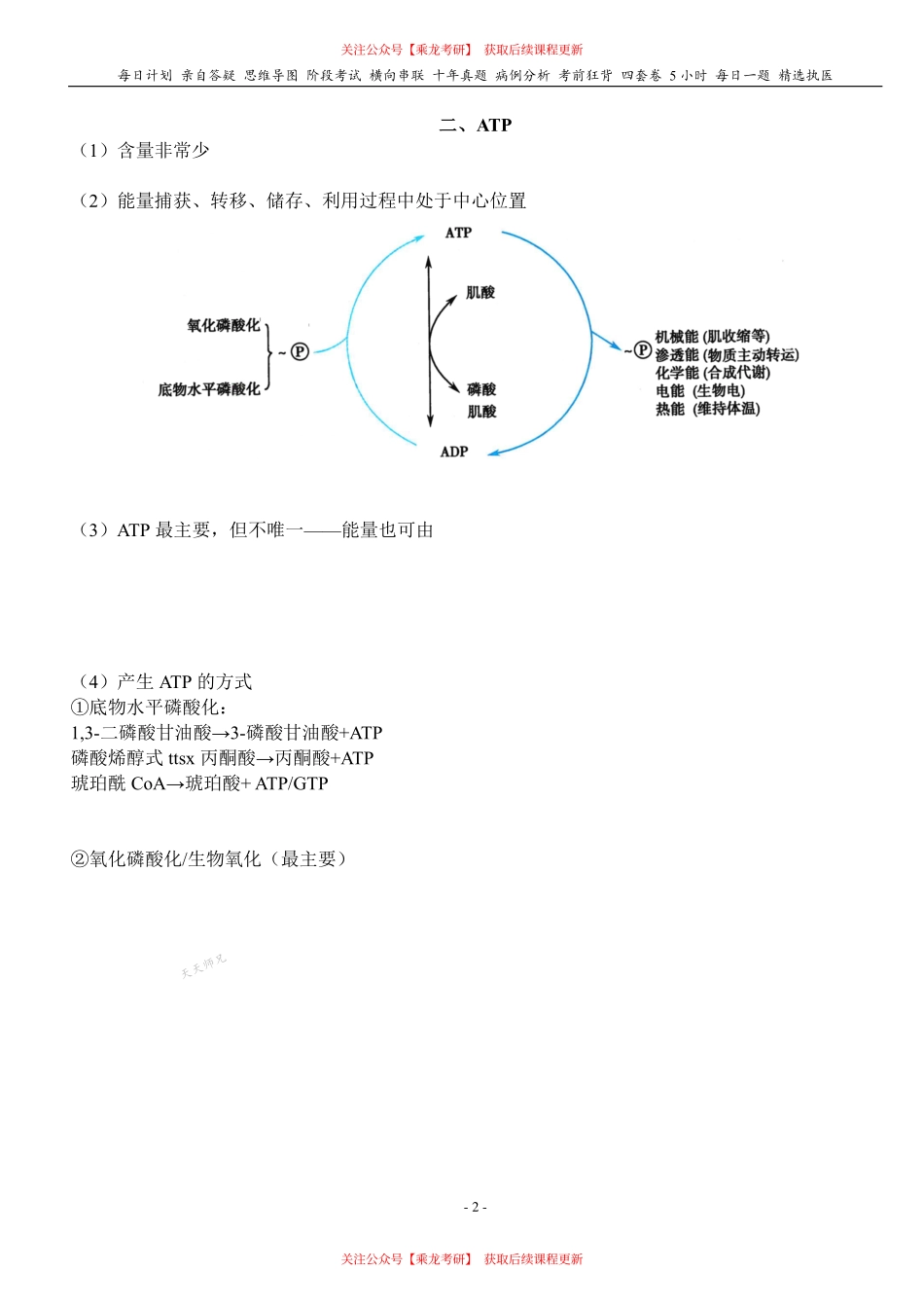 填空式讲义：生化 氧化磷酸化 核心-导图-真题-串联 天天师兄24考研 冲.pdf_第2页