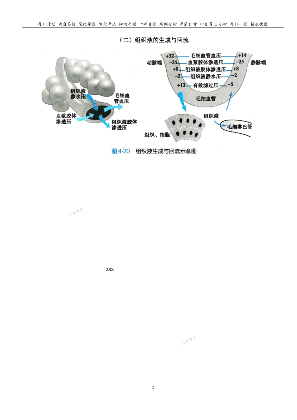 填空式讲义：生理 微循环和冠脉循环 核心-导图-真题-串联 天天师兄24考研 冲.pdf_第2页