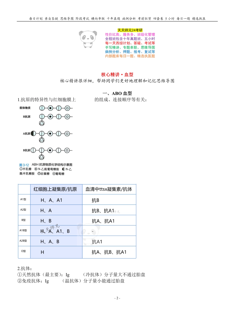 填空式讲义：生理 血型 核心-导图-真题-串联 天天师兄24考研 冲.pdf_第2页
