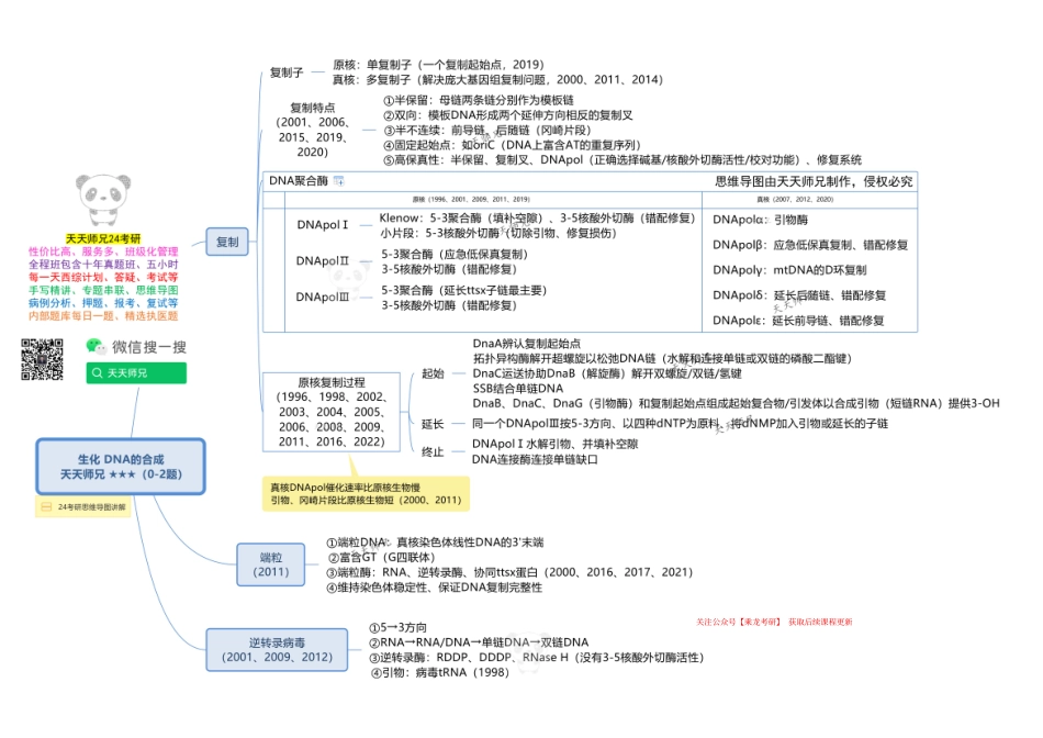 生化 DNA的合成 思维导图.pdf_第1页