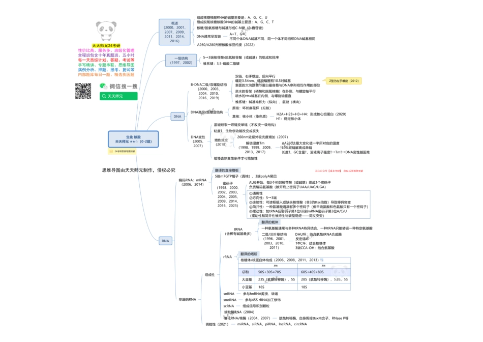 生化 核酸 思维导图.pdf_第1页