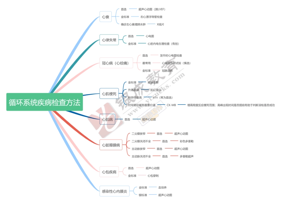 思维导图-循环系统疾病检查方法 .pdf_第1页