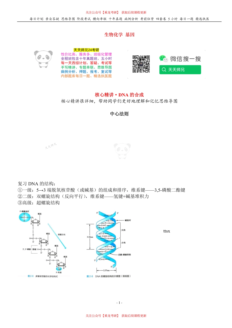 填空式讲义：生化 DNA的合成 核心-导图-真题-串联 天天师兄24考研 冲.pdf_第1页
