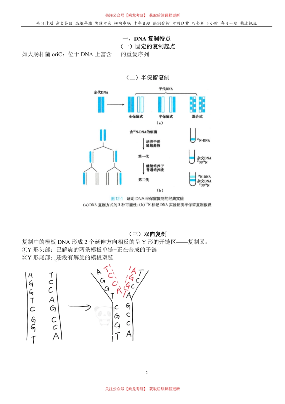 填空式讲义：生化 DNA的合成 核心-导图-真题-串联 天天师兄24考研 冲.pdf_第2页