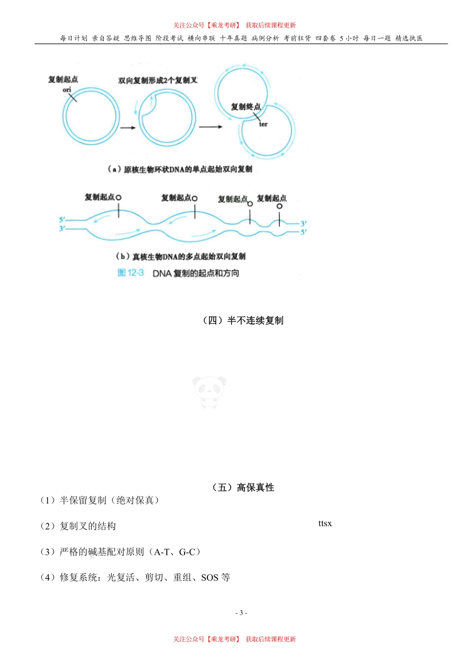 填空式讲义：生化 DNA的合成 核心-导图-真题-串联 天天师兄24考研 冲.pdf_第3页