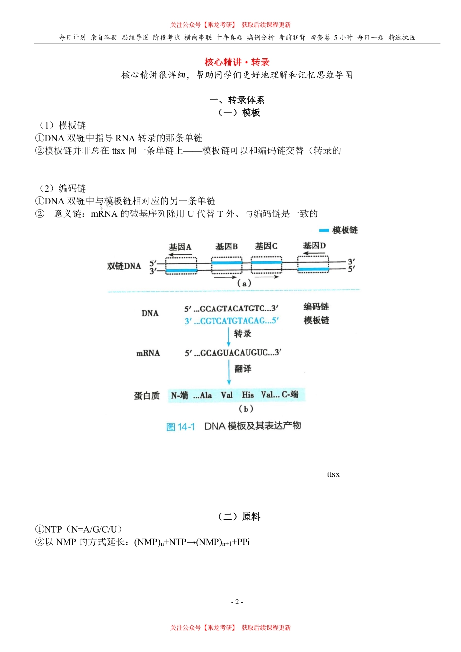 填空式讲义：生化 转录 核心-导图-真题-串联 天天师兄24考研 冲.pdf_第2页