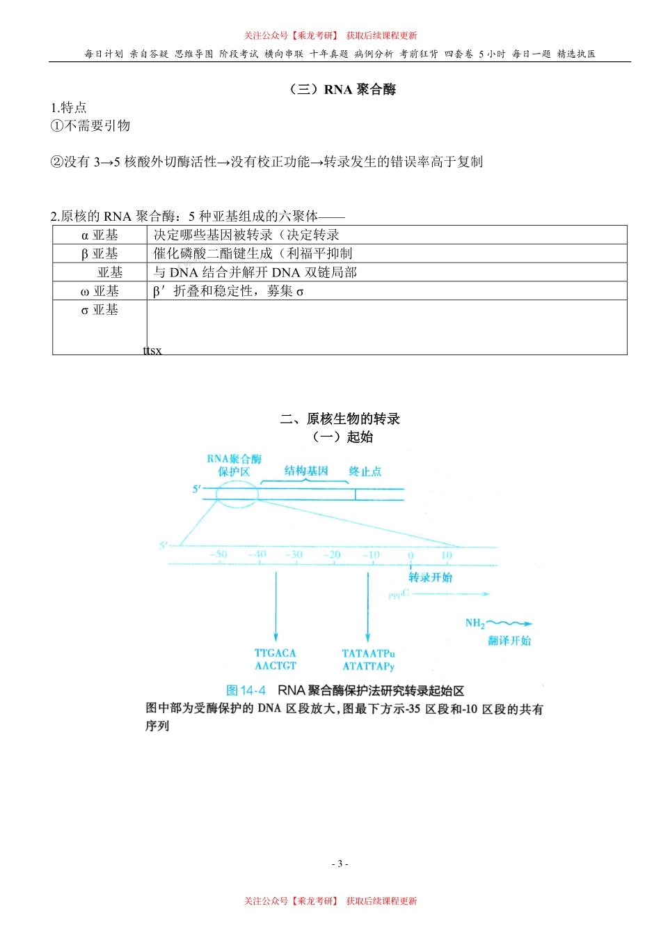 填空式讲义：生化 转录 核心-导图-真题-串联 天天师兄24考研 冲.pdf_第3页