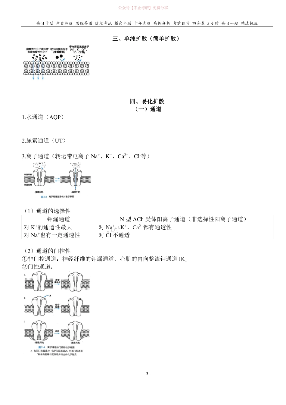 填空式讲义：生理 跨膜转运 核心-导图-真题-串联 天天师兄24考研 冲.pdf_第3页