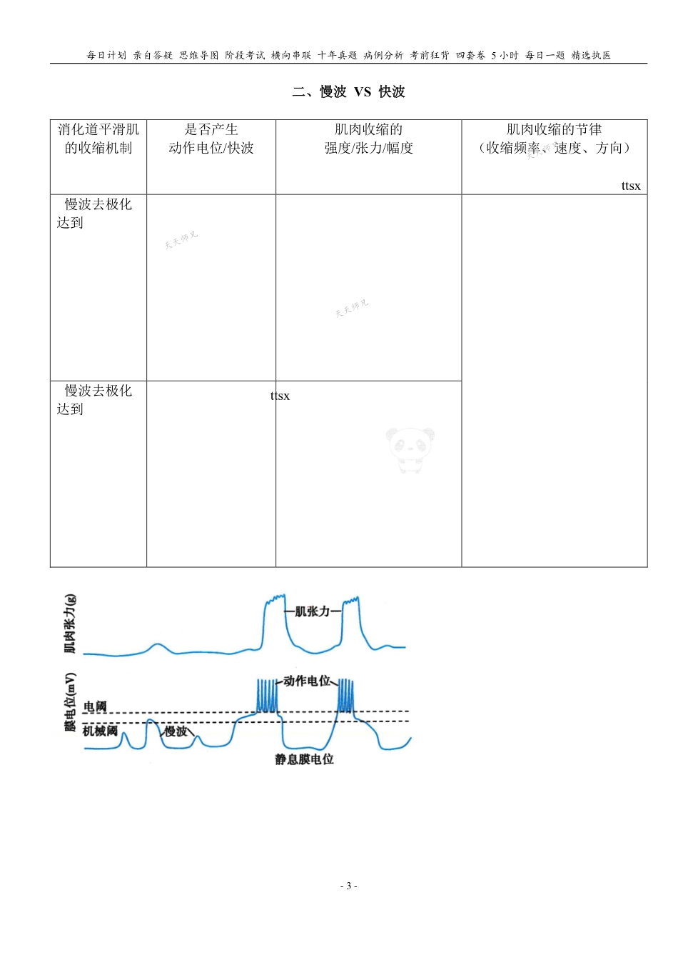 填空式讲义：生理 消化道生理特性 核心-导图-真题-串联 天天师兄24考研 冲.pdf_第3页