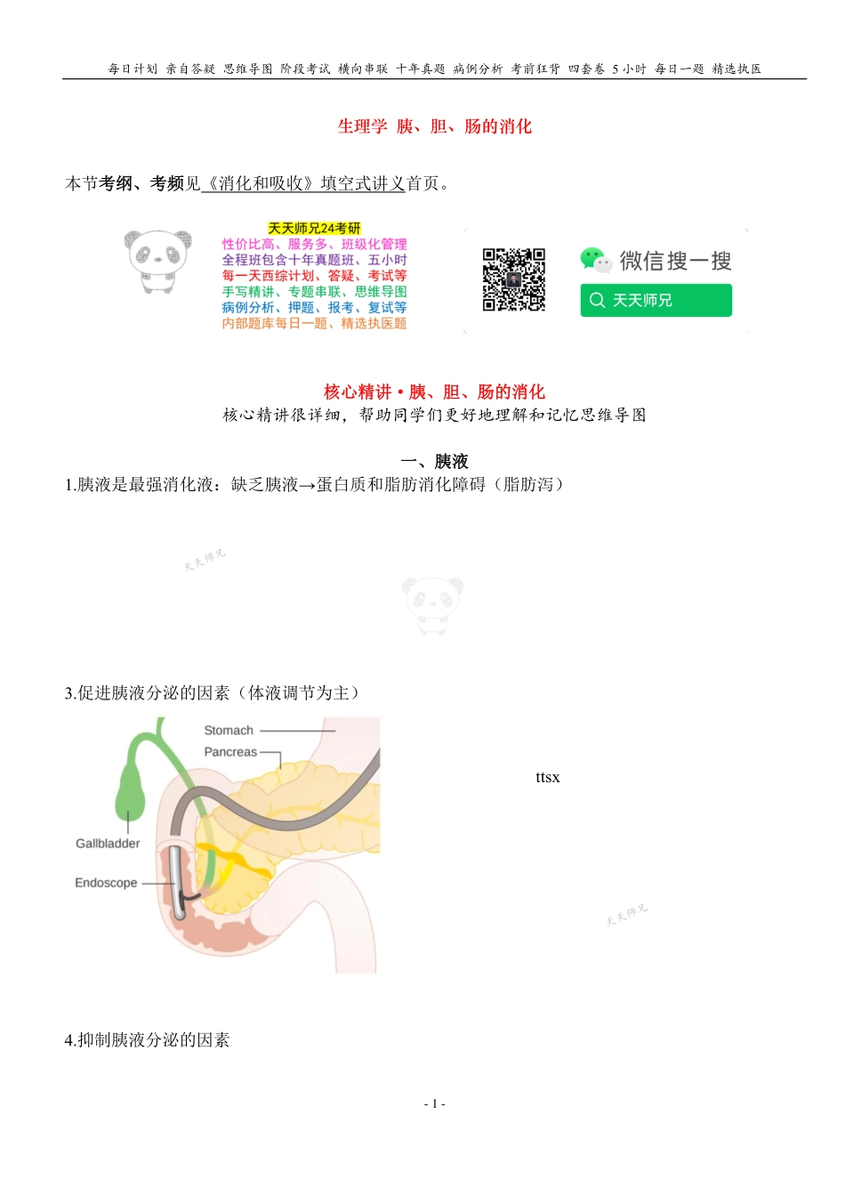 填空式讲义：生理 胰、胆、肠的消化 核心-导图-真题-串联 天天师兄24考研 冲.pdf_第1页