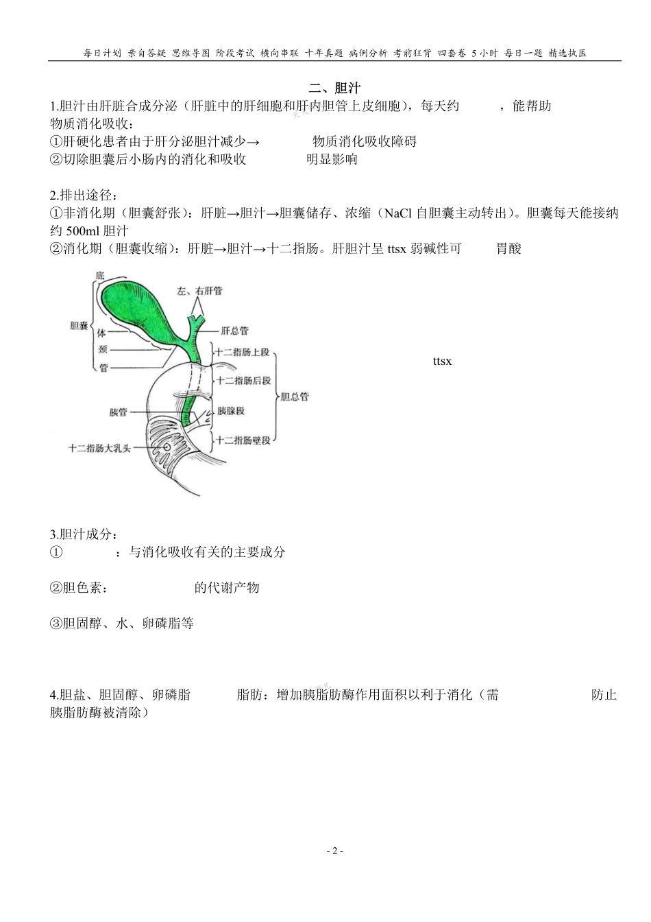 填空式讲义：生理 胰、胆、肠的消化 核心-导图-真题-串联 天天师兄24考研 冲.pdf_第2页