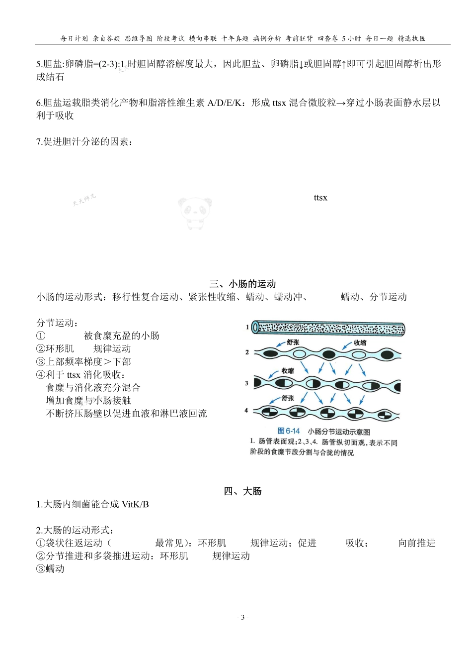 填空式讲义：生理 胰、胆、肠的消化 核心-导图-真题-串联 天天师兄24考研 冲.pdf_第3页