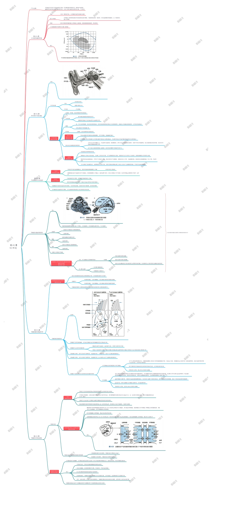 9.3 听觉.pdf_第1页