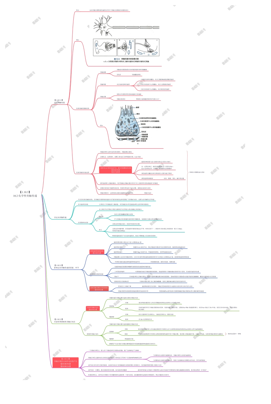 10.2 化学性突触传递.pdf_第1页
