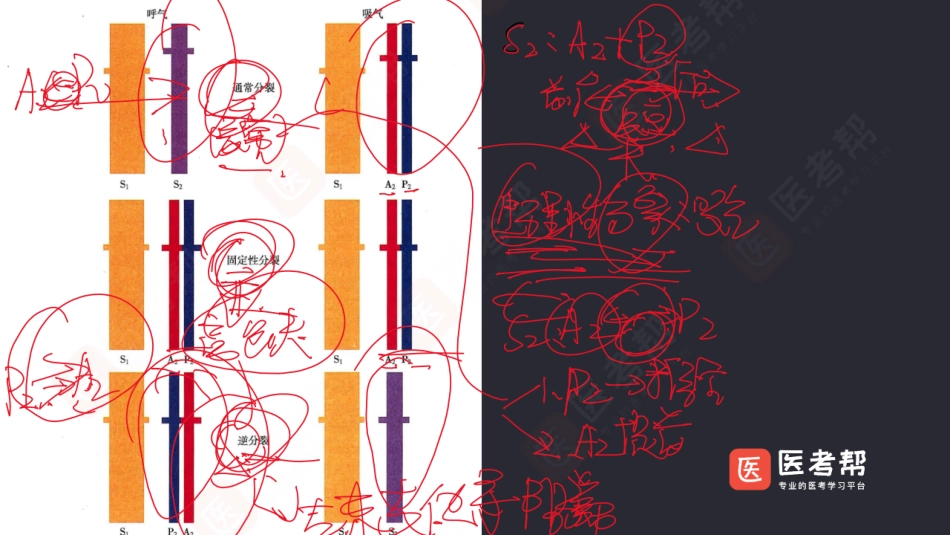 14-18内科学（2）.pdf_第2页